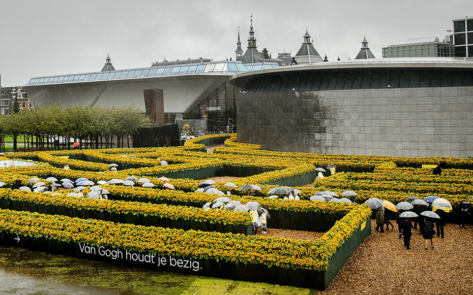 Van Gogh Sunflower Maze