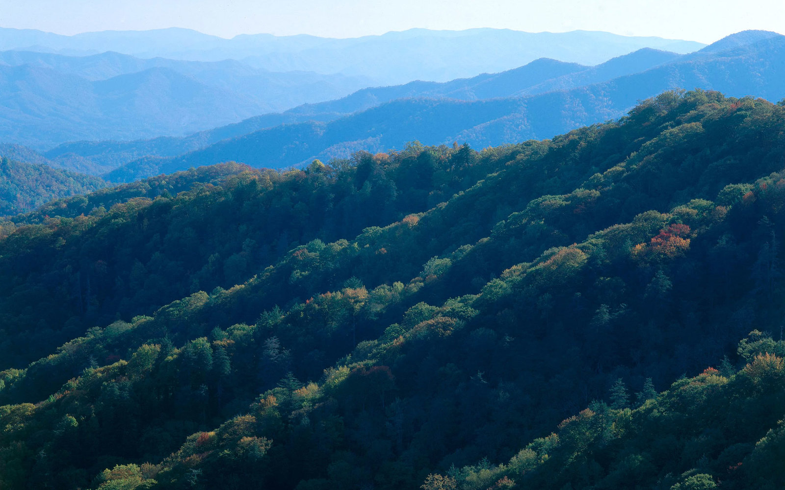 Appalachian Mountains in Georgia