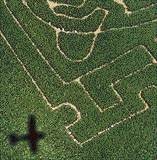 Great American Road Trips: Corn Field Mazes