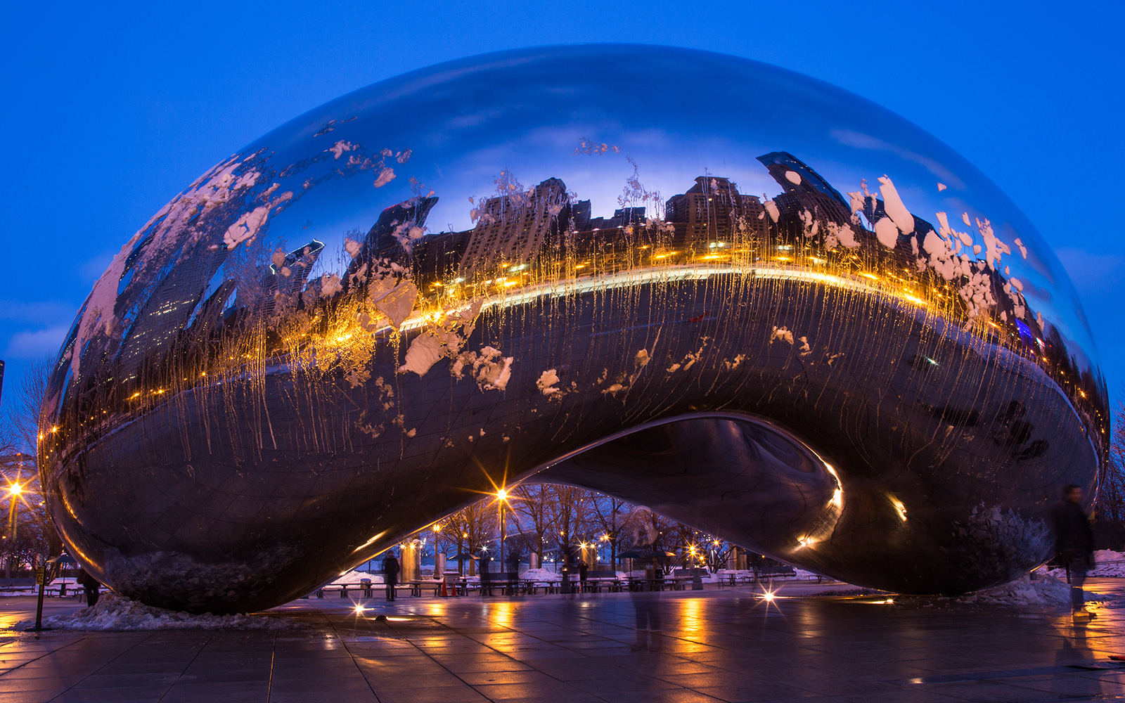 Chicago Bean