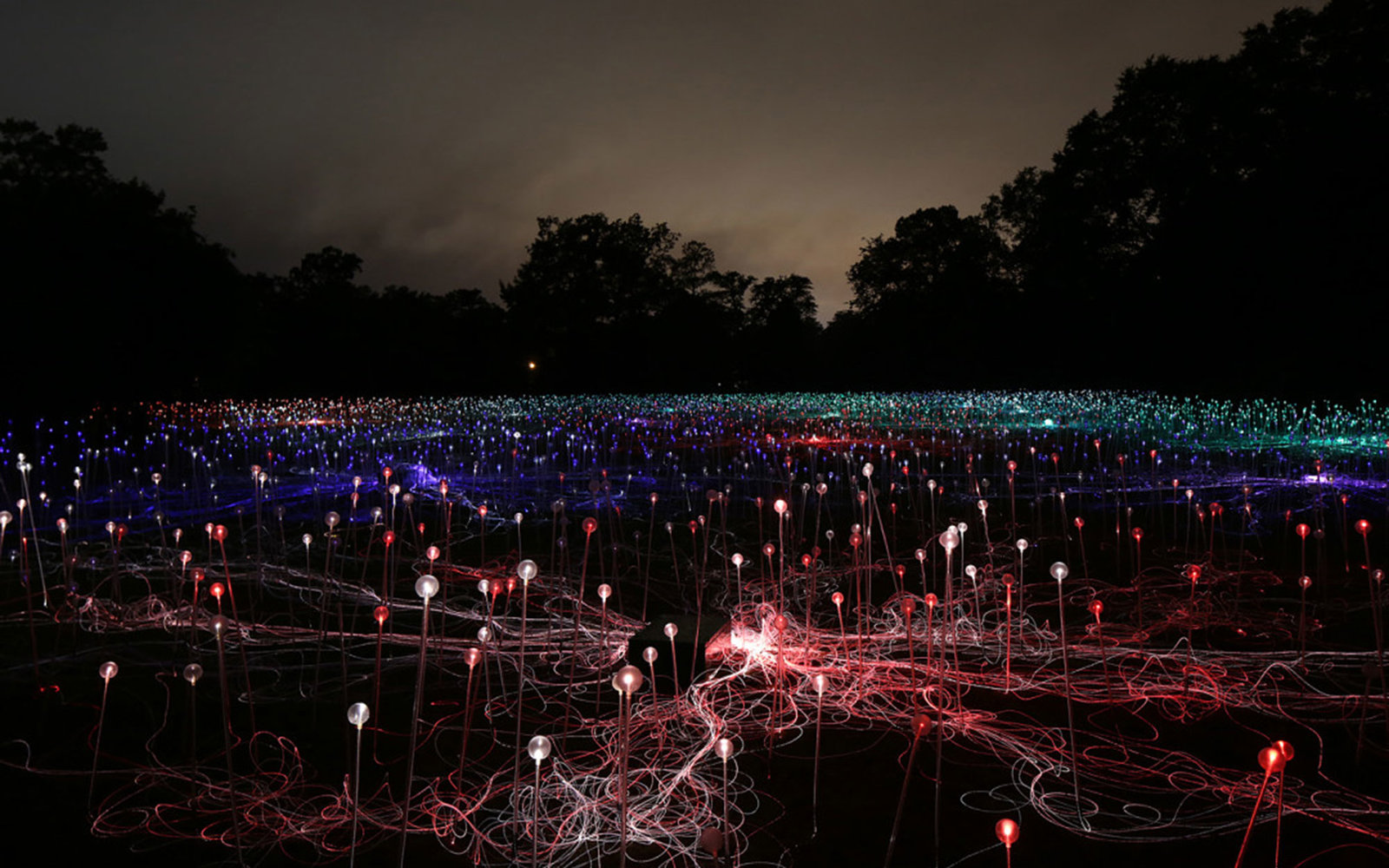 bruce munro field of light