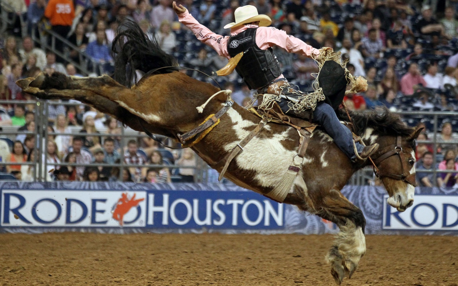 Rodeo Lovers Head for Houston
