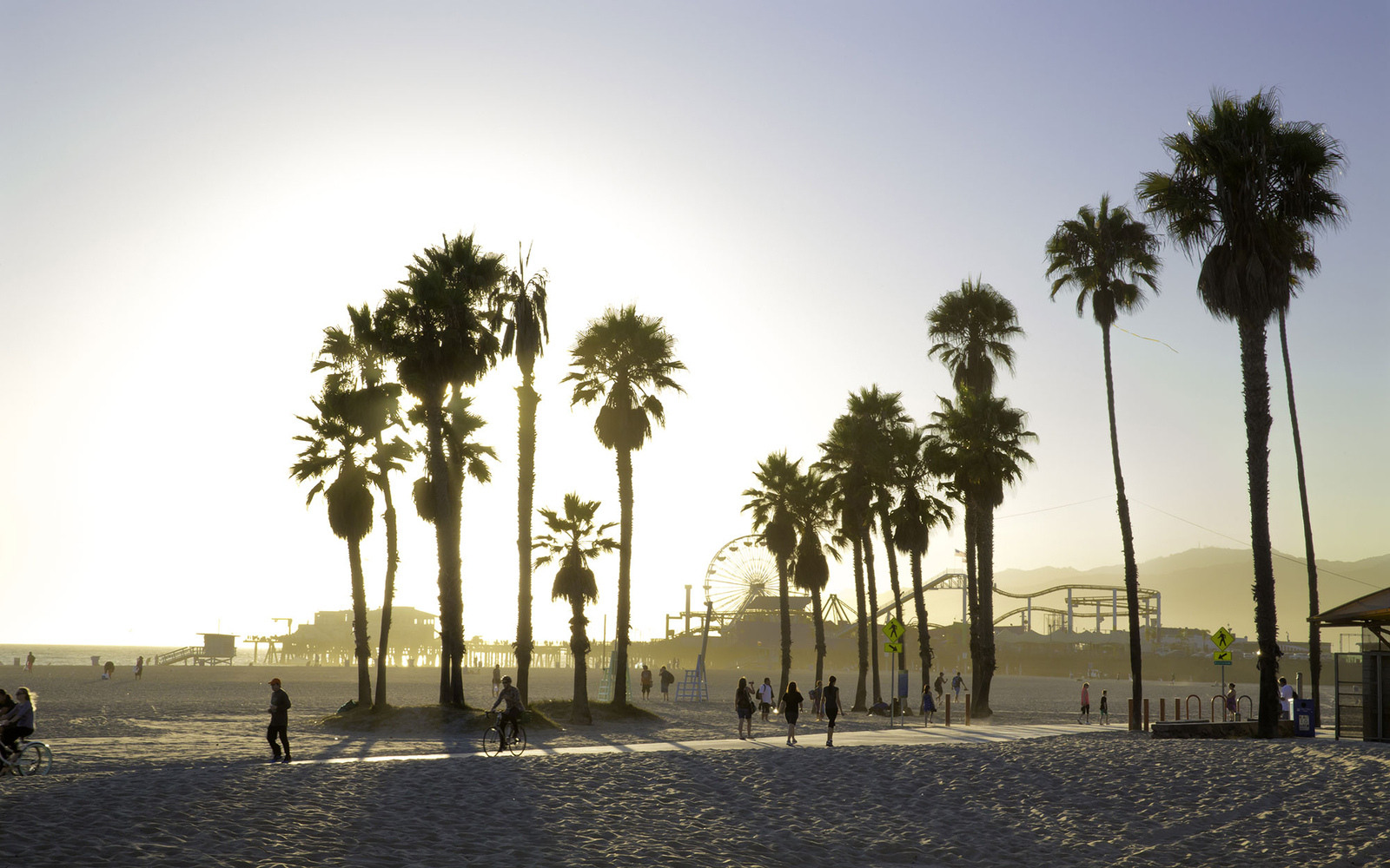 sun setting through the palm trees on the beach in Los Angeles, CA