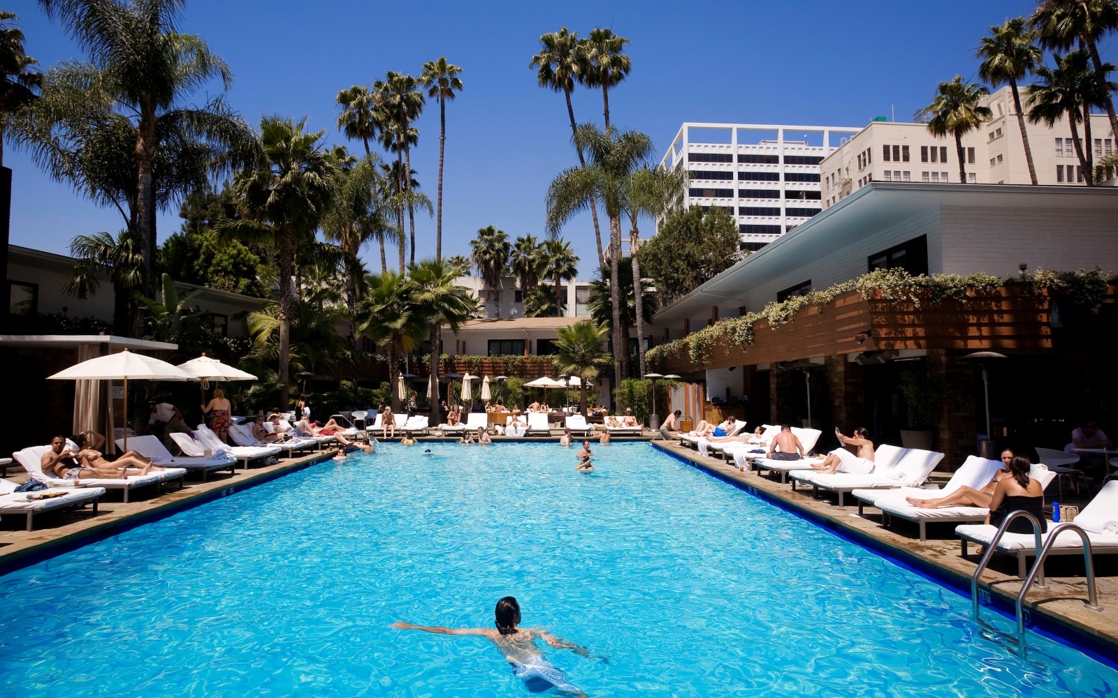 LA Hotel Pools