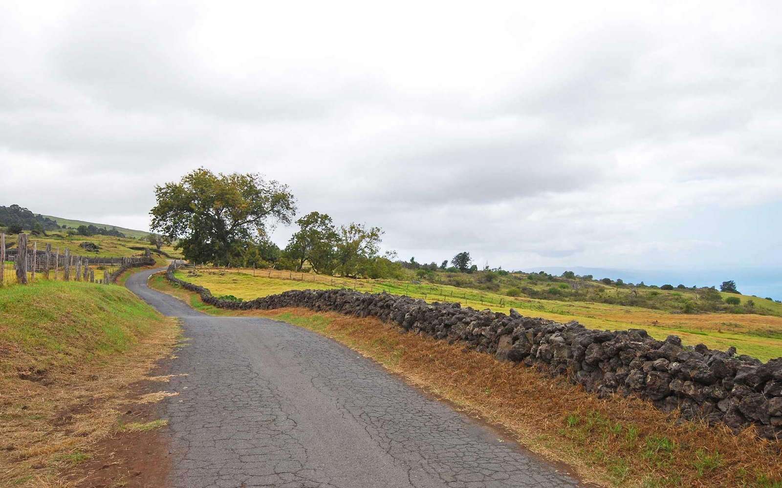 Secret Streets Maui