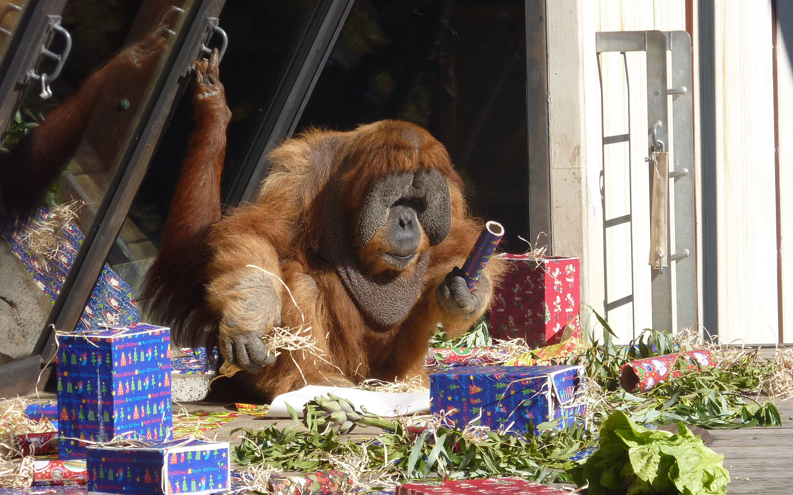 Melbourne Zoo