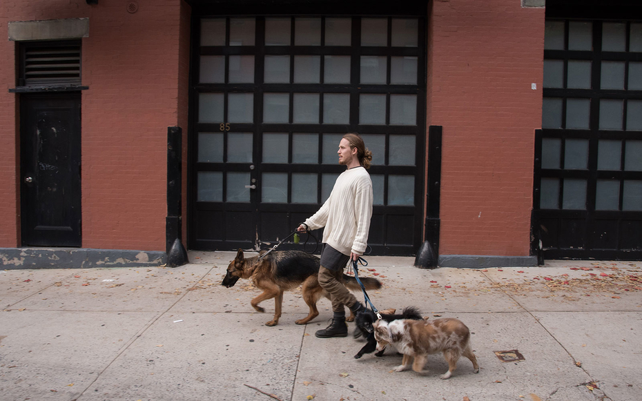 West Village dog walking