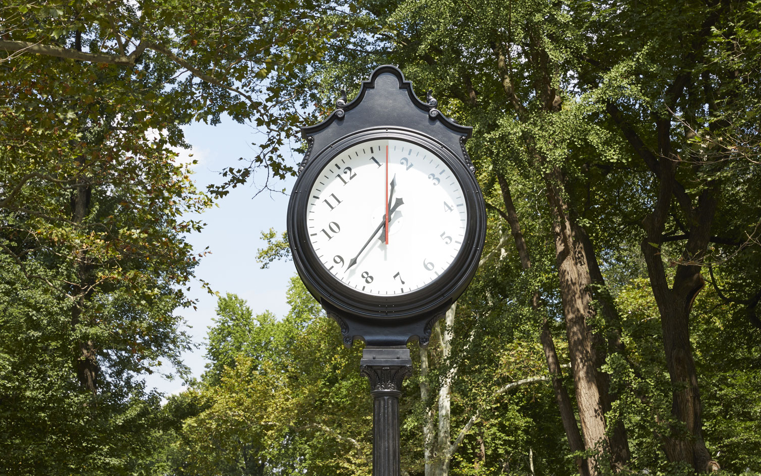 Central Park clock instillation