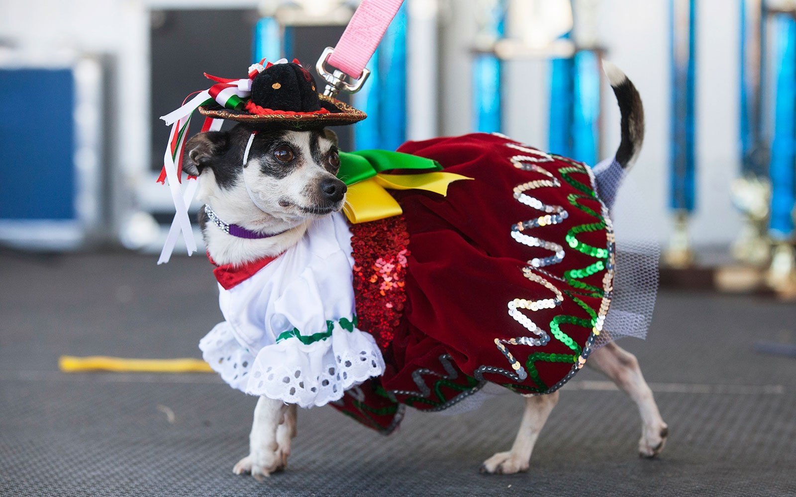 Three Next-Level Cinco de Mayo Travel Celebrations