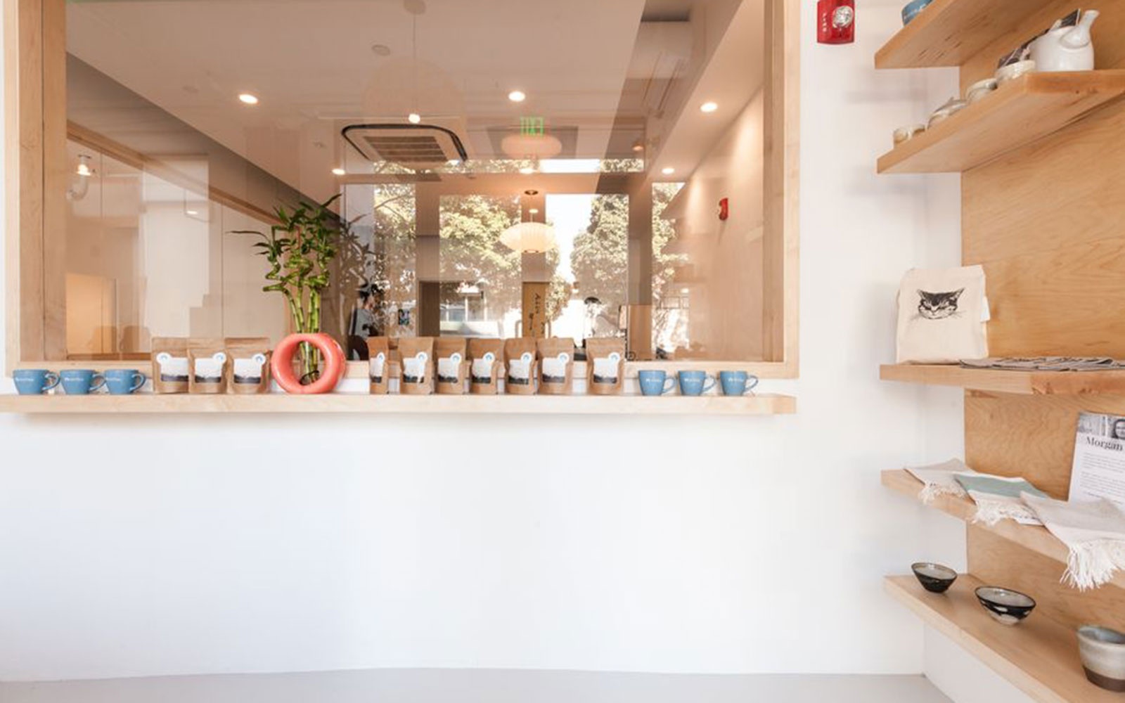 San Francisco Got Its First Cat Cafe—And It’s Surprisingly Posh