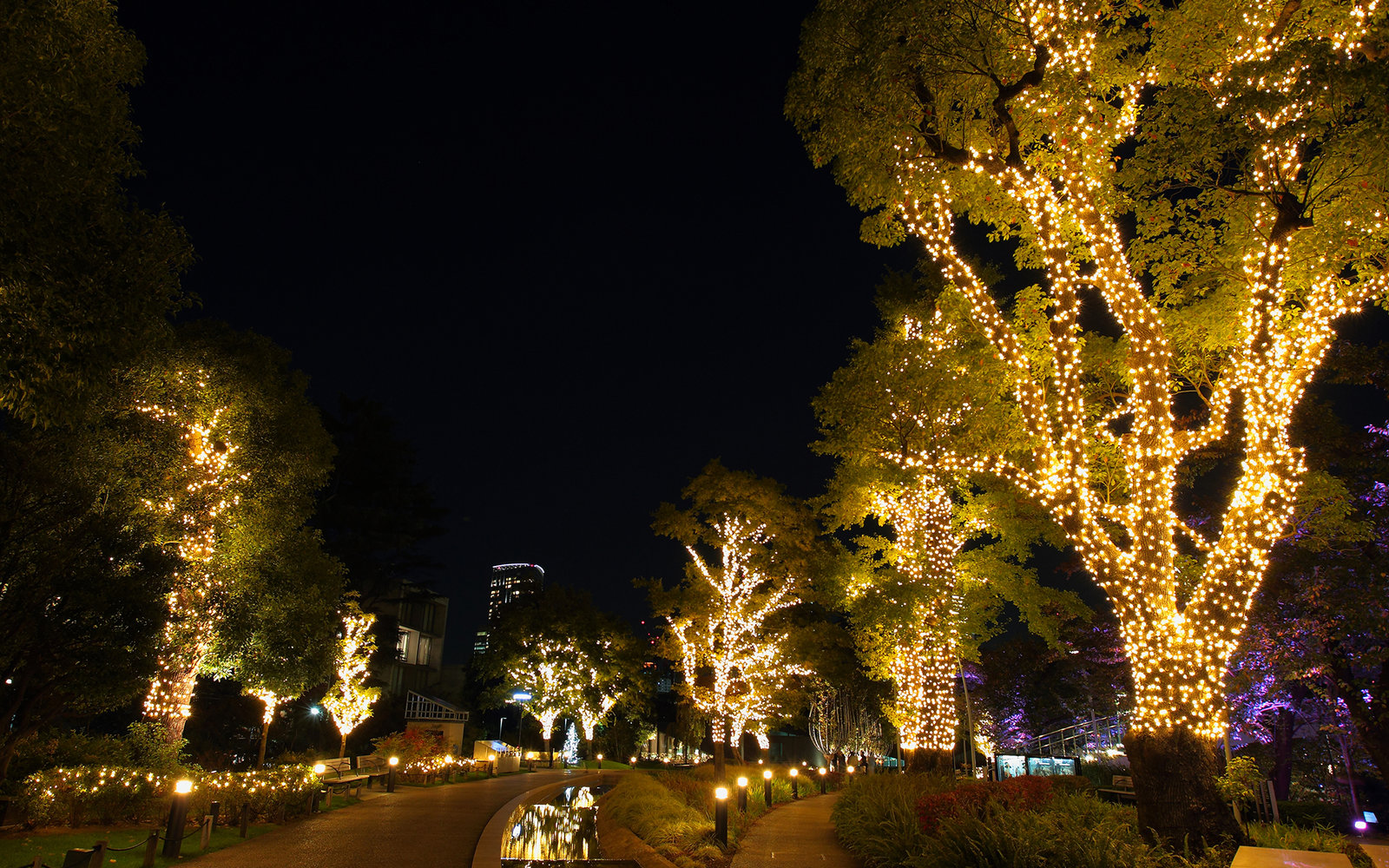 Christmas in Tokyo, Japan