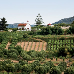 Greece: Europe’s Newest Wine Country