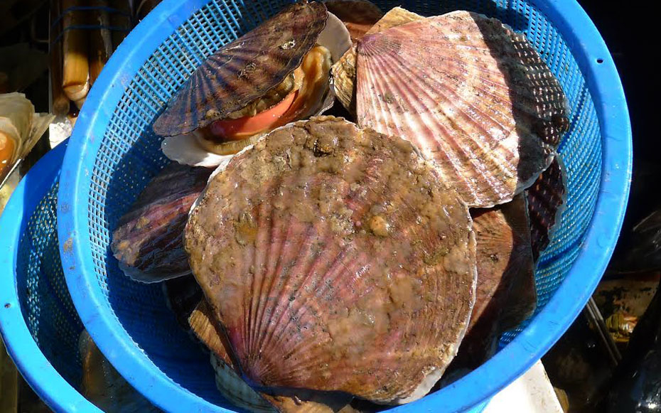 Hong Kong Fish School Seafood