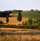 The Best Country Hotels of Tuscany