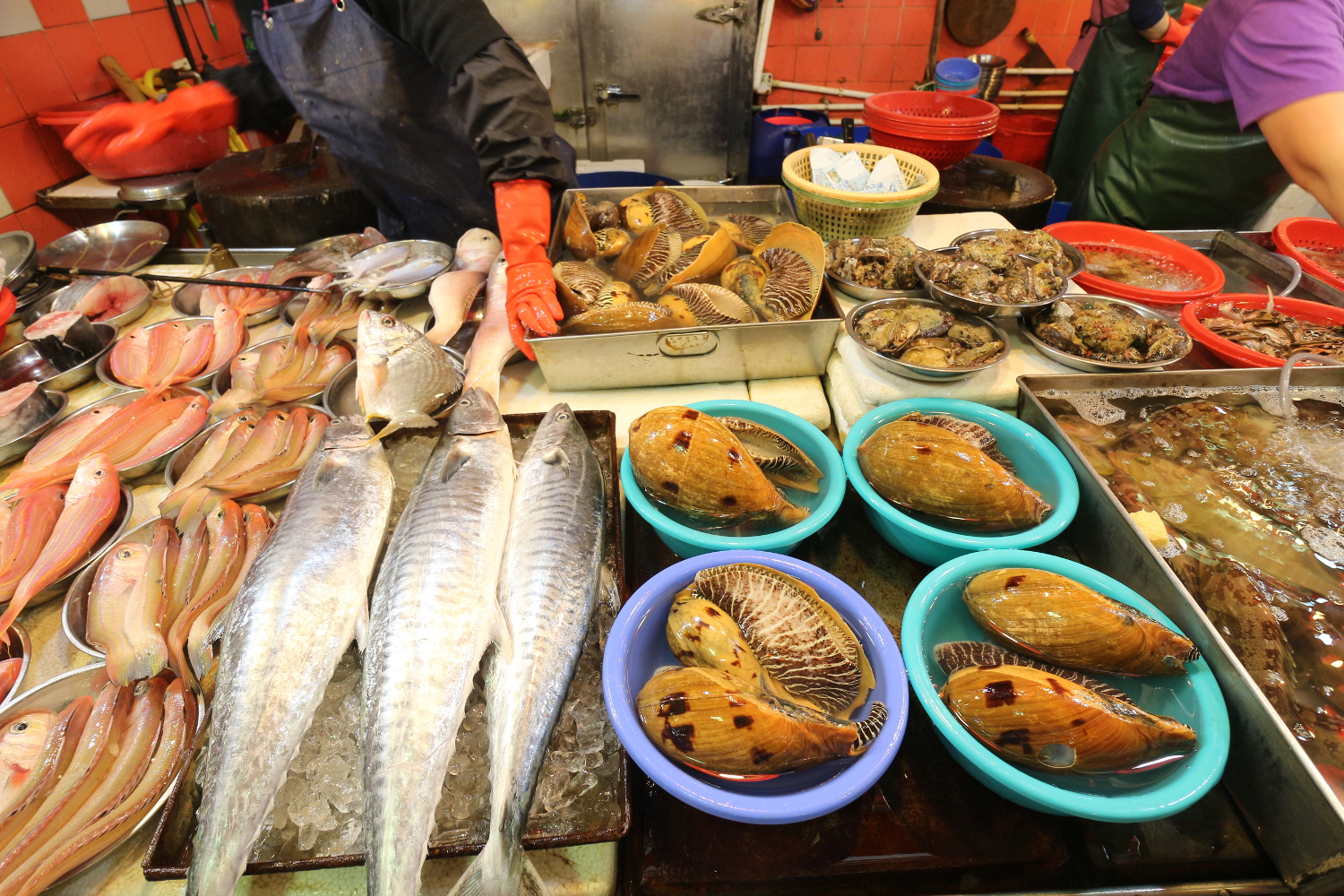 Ap Lei Chau Market: choose your fish and the market chefs will cook it up. Image by Piera Chen / londoninfopage