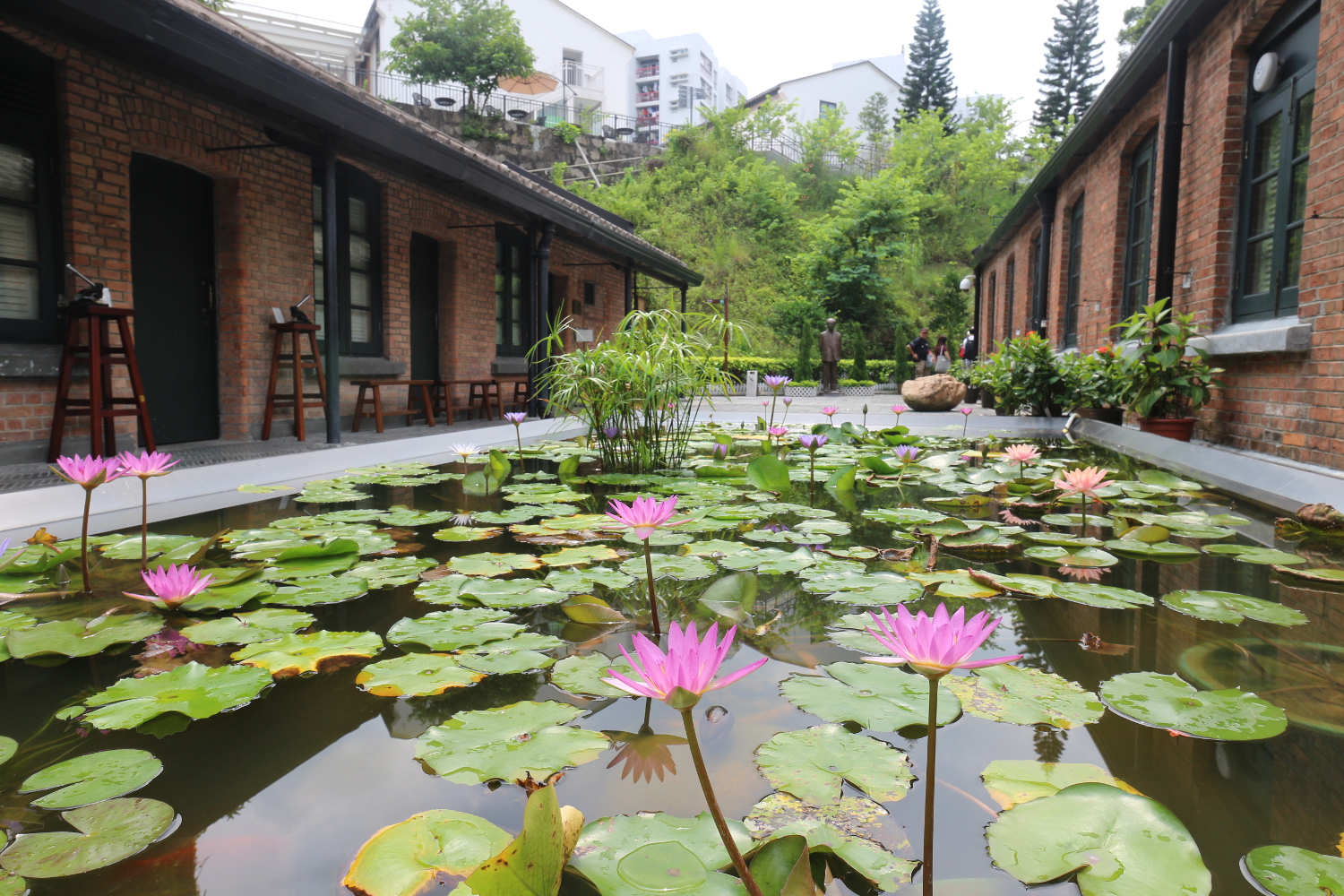 Picturesque sleep beside the lily pond at Jao Tsung-I Academy. Image by Piera Chen / londoninfopage
