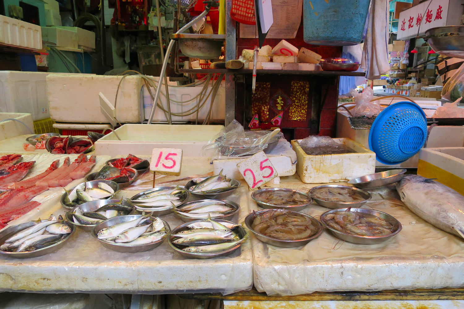 Seafood for sale at a wet market in Central. Image by Megan Eaves / londoninfopage